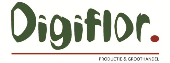 Digiflor